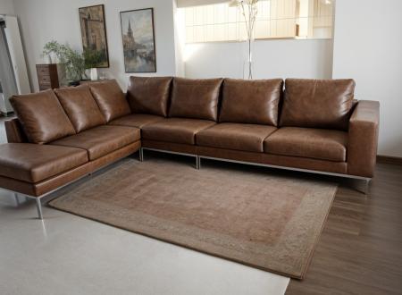 ΣΑΛΟΝΙ ΓΩΝΙΑ ΜΕ ΔΕΡΜΑ ΚΑΙ ΣΚΕΛΕΤΟ ΑΠΟ ΜΑΣΙΦ ΚΑΙ ΚΟΝΤΡΑ ΠΛΑΚΕ